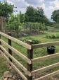 Image: New Fence Around the Allotments Stops Vegetables Escaping  